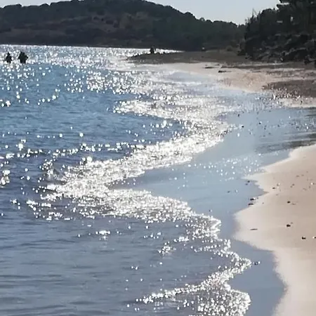 Dolly Porto Columbu - Perd'E Sali